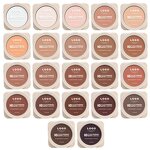 Face Powder Supplier - OEM High Quality OEM Private Logo 22 Shades