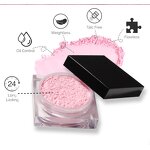 Loose Powder Factory - OEM Wholesale 7 Colors Translucent Matte Setting