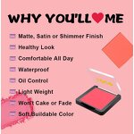 Single Blush Palette Manufacturer - OEM Wholesale Vegan High Pigment