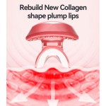 Lip Sheet Masks Manufacturer - Bulk Custom Private Label Plumping Vitamin E Rose Coconut