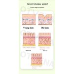 Goat Milk Soap Manufacturer - OEM Moisturizing Whitening Bar Vitamin E