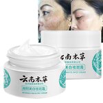Facial Cream Factory - OEM Wholesale Yunnan Herbal Fade Freckles