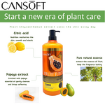 Shower Wash Manufacturer - OEM Hot Sales Mild Formula Papaya Ingredient