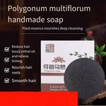 Hair Care Shampoo Soap Manufacturer - OEM Herbal Plant Silicone Free