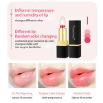 Jelly Lipstick Factory - OEM Long Lasting Waterproof Jelly Flower