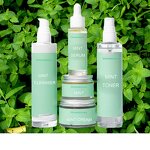Korean Skin Care Set Supplier - OEM OEM ODM Hydrating Herbal Daily