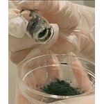 Algae Peel Facial Powder Kit Manufacturer - OEM Natural Bio 99% Pure