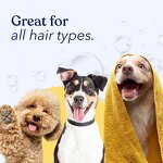 Dog Shampoo Manufacturer - OEM Private Label 5 in 1 Dog