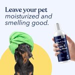 Dog Shampoo Manufacturer - OEM Private Label 5 in 1 Dog