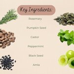 Rosemary Oil Hair Growth Manufacturer - OEM Pure Natural Organic Rosemary