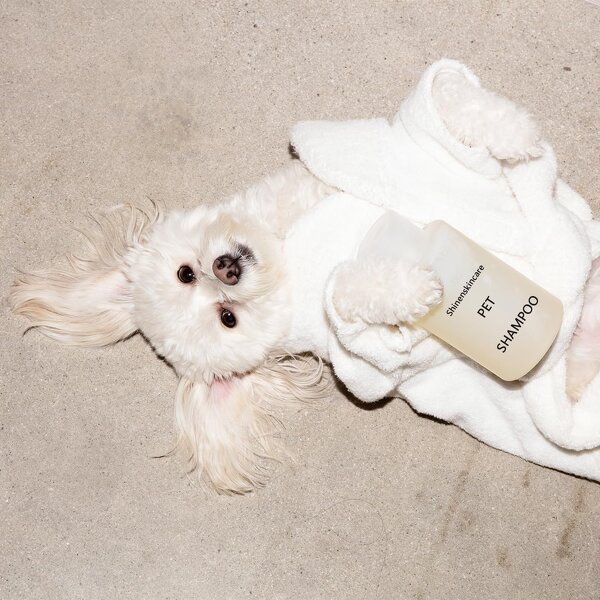 Pet Shampoo Set Supplier - OEM OEM ODM Deeply Cleaning Dogs