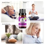 Essential Oil Factory - Custom Label No MOQ Lemongrass Lavender