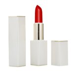 Vegan Lipstick Supplier - OEM Cosmetics Luxury Packaging High Pigment