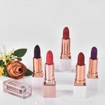 Matte Lipstick Manufacturer - OEM Customized Without logo Foreign Trade
