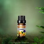 Lavender Oil Set Factory - 6pcs 10ml Diffuser Humidifier 2025