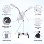 Ozone Facial Steamer Supplier - Portable 2-in-1 5X Magnifying Lamp Nano