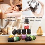 Essential Oil Collection Factory - 6pcs Chakra Balancing Blends 10ml