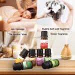 Essential Oil Bundle Manufacturer - Private Label 12x10ml Hotel Spa