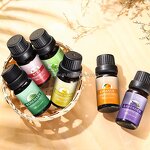 Essential Oil Bundle Manufacturer - Private Label 12x10ml Custom Scents