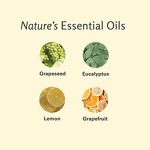 Body Massage Oil Manufacturer - Low MOQ Natural Collagen Plant Extract Spa