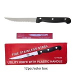 Steak Knife Set Manufacturer - OEM Matt Polishing POM