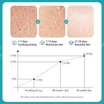 Face Cream Factory - Natural Organic Moisturizing Anti Age Corrector