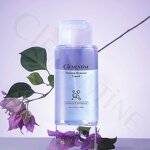 Makeup Remover Factory - Private Label Vegetable Gentle Oil-free Liquid