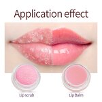 Lip Balm Supplier - 2 in 1 Wholesale Private Label Vegan Lipscrub Organic