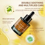 Soothing Serum Supplier - Rapid Redness Relief Centella Asiatica Ampoule