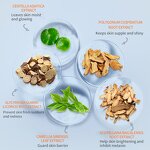 Lip Gloss Factory - Long-Lasting Moisturizing Plumping Vitamin C