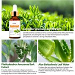 Tea Tree Acne Serum Factory - OEM Skailie Acne Skin Serum Penetrates