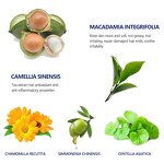 Beard Shampoo and Wash Supplier - OEM MLB Ready to Ship Private