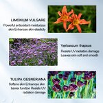 Oil Free Sunscreen Factory - OEM Private Label Organic Whitening SPF