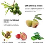 Beard Growth Oil Factory - OEM Ready to Ship Private Label