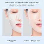 Facial Mask Supplier - Travel Size Bio-Collagen Silicone Oil Control