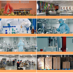 Gentle Collagen Day Cream Manufacturer - OEM Recombinant Human with Vitamin E