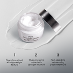 Recombinant Collagen Cream Manufacturer - OEM Advanced Night Repair Relief