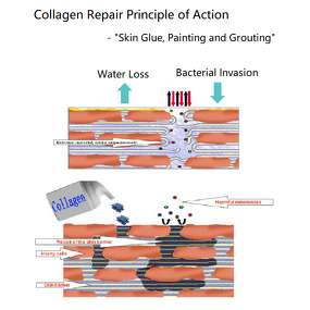 Non-irritating Repair Mask Supplier - OEM Hypoallergenic Hydrating Moisturizing