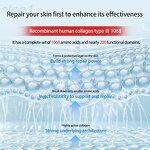 Peony Collagen Cream Supplier - OEM Private Label Anti-Wrinkle Hydrating