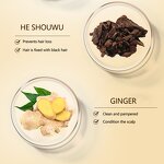 Hair Growth Oil Serum Factory - OEM Private Label OEM Natural Organic