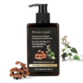 Ganoderma Shampoo Supplier - OEM Shampoo Hair Mask Moisturizing