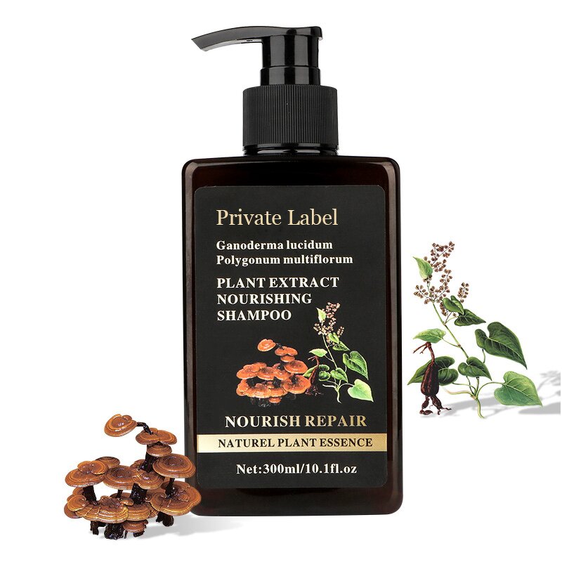 Ganoderma Shampoo Supplier - OEM Shampoo Hair Mask Moisturizing