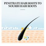 Anti Loss Hair Shampoo Manufacturer - OEM OEM Natural Organic Private