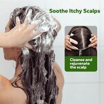 Morocco Argan Oil Set Supplier - OEM Private Label Natural Tea Tree