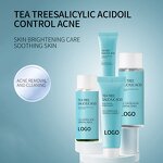 Tea Tree Skin Care Set Supplier - OEM Private Label Salicylic Acid Serum