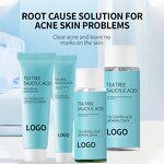 Tea Tree Skin Care Set Supplier - OEM Private Label Salicylic Acid Serum