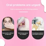 Pet Paw Cleaner Supplier - Wholesale Private Label No-Rinse Foaming Dry Shampoo