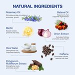 Hair Treatment Oil Supplier - Wholesale Private Label Anti-Hair Loss Ampoule Solution