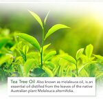 Facial Serum Manufacturer - Vitamin C Ampoule with Niacinamide E Hyaluronic Acid