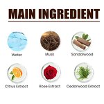 Perfume Supplier - Wholesale Natural Concentrated Scent Vanilla Choco Musk